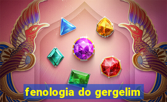 fenologia do gergelim